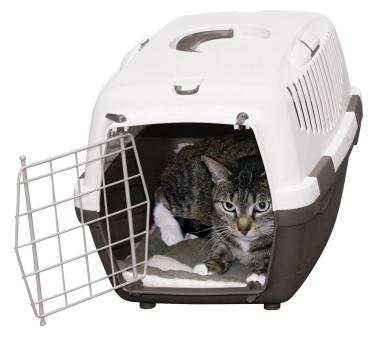 Einlage-Kissen für Transportbox oder Katzenhaus - Hundebett, Hundedecke, Katzenbett